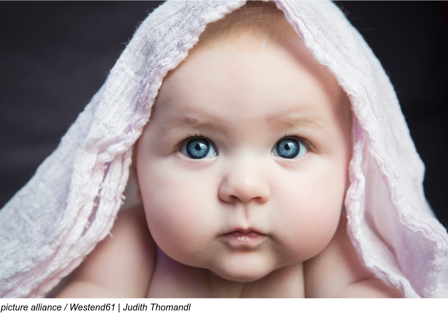 2025-4Adv-A-001co Weihnachtsimpulsbild